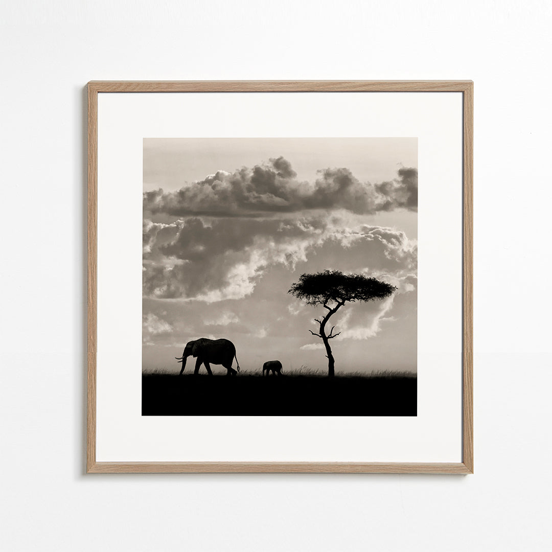 Silhouettes of Mara - Mario Moreno