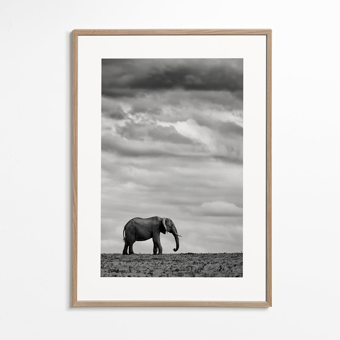 Elephant Landscape 2 - Mario Moreno