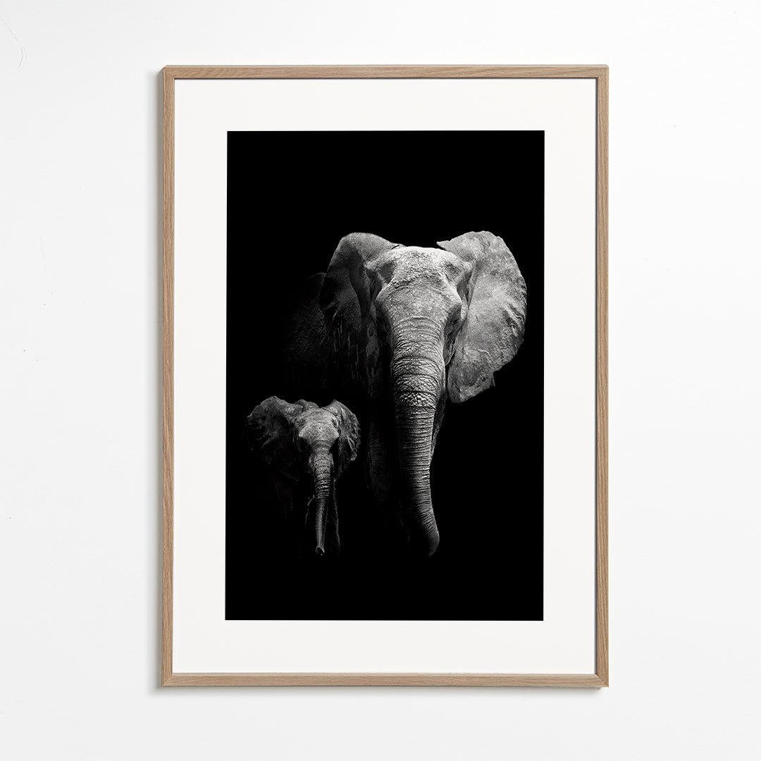 Mother and Child - WildPhotoArt