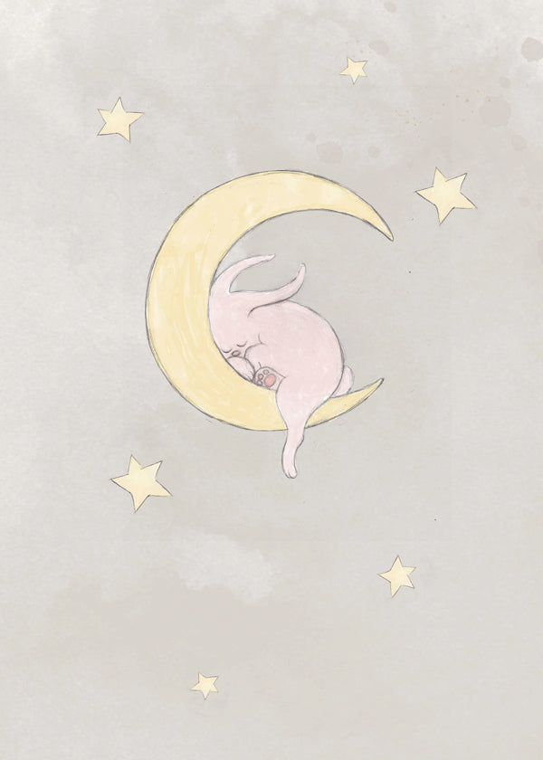 The Rabbit and The Moon - 1x Studio II