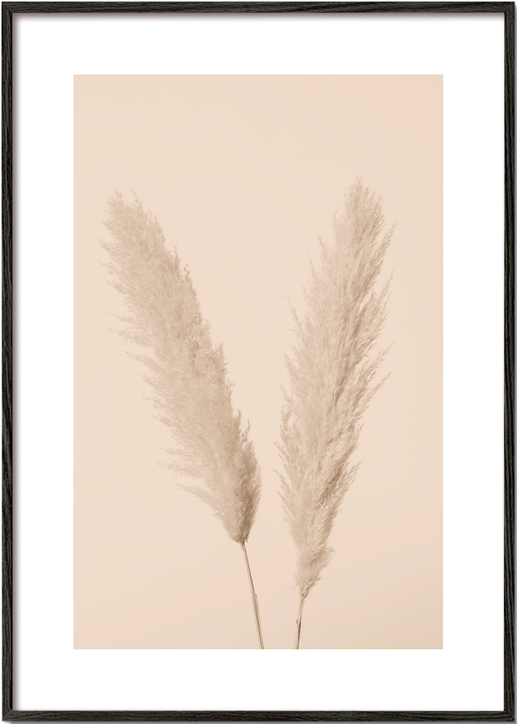 Pampas Grass Beige 01 - 1x