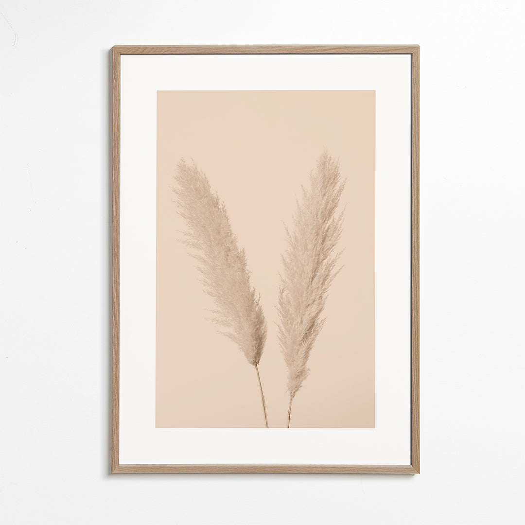 Pampas Grass Beige 01 - 1x