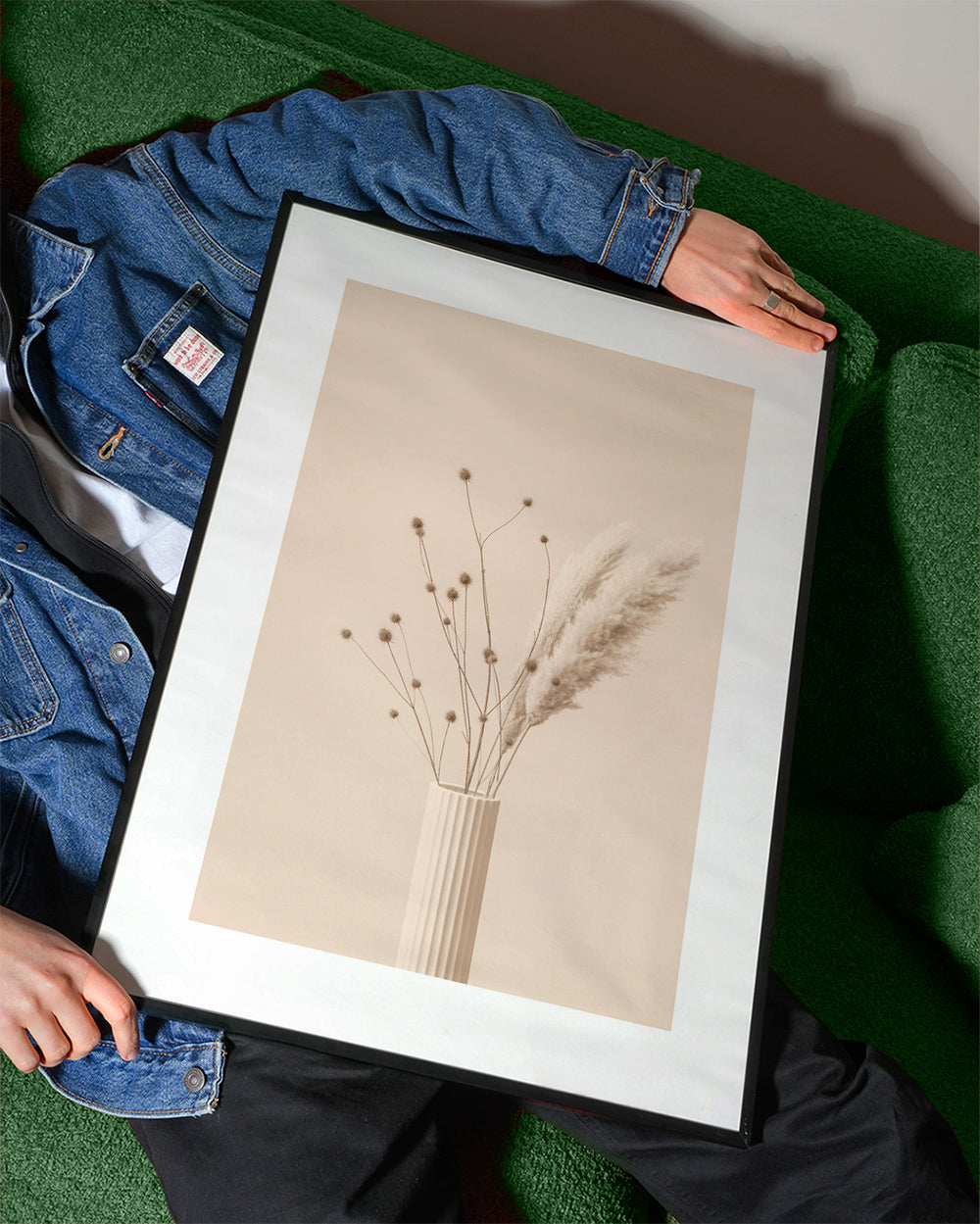 Thistle a Pampas Beige - 1x