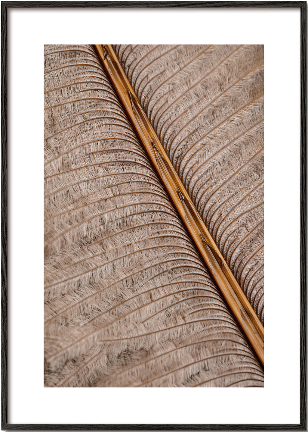 Feather I