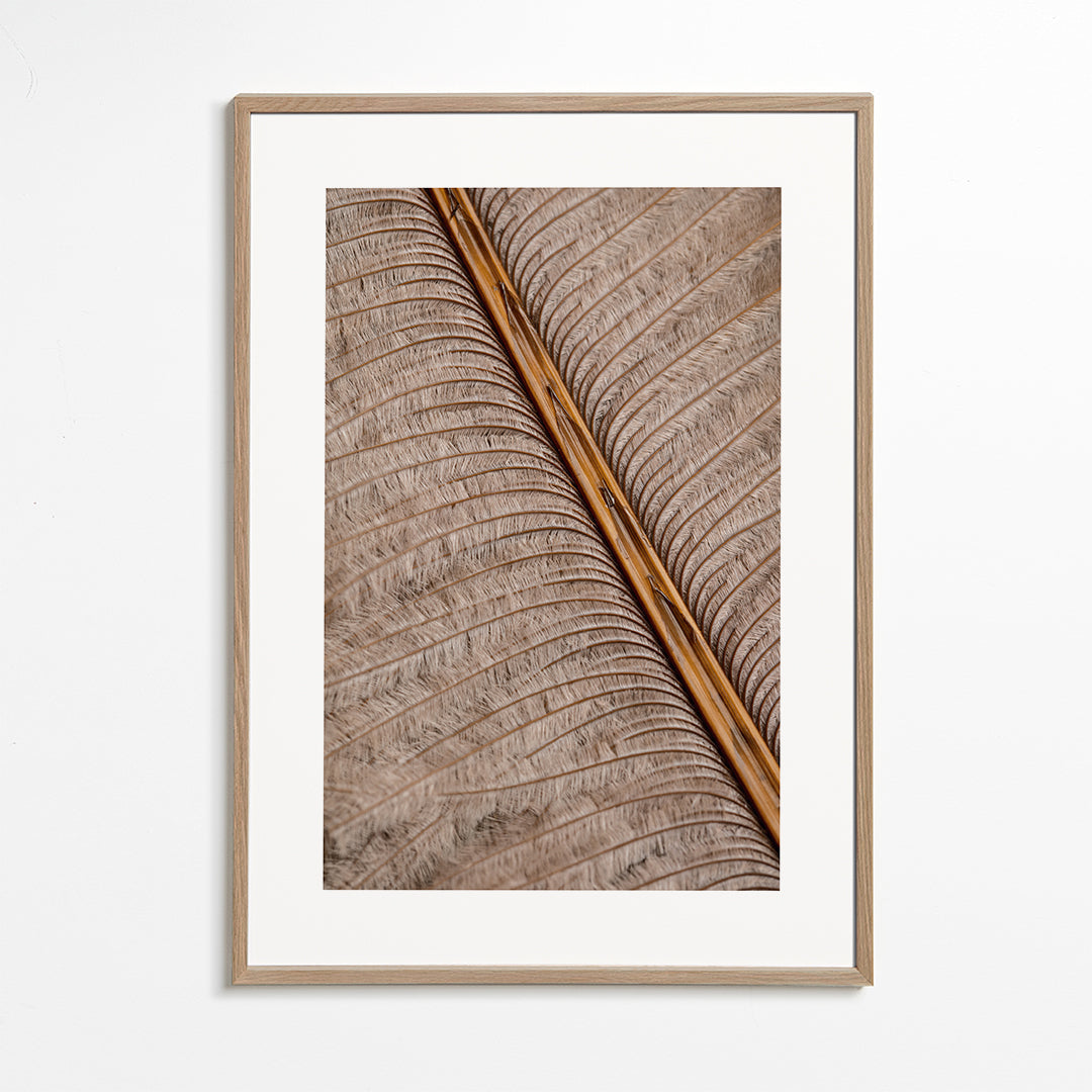 Feather I