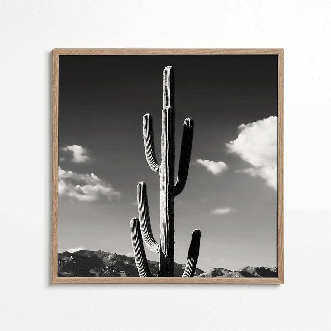 Black Arizona - Lonely Cactus II