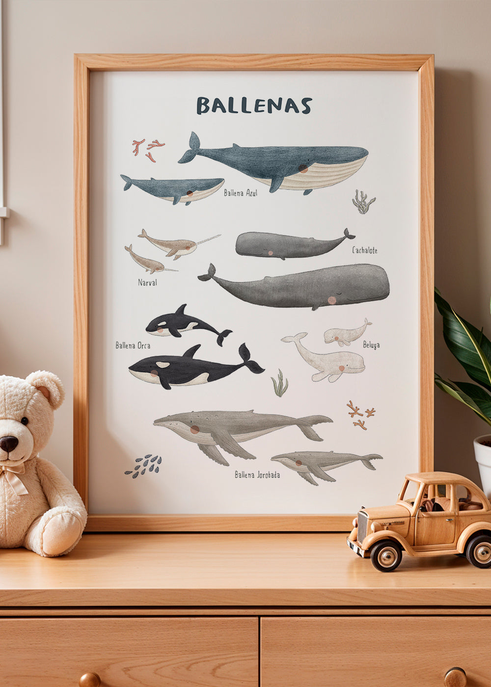 Ballenas fondo blanco