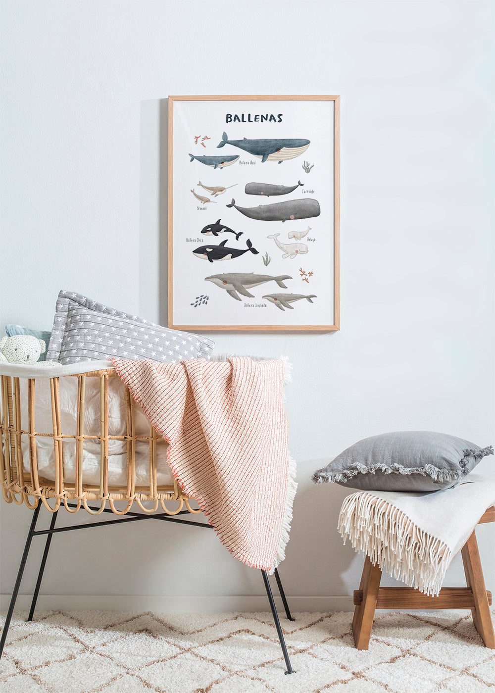 Ballenas fondo blanco