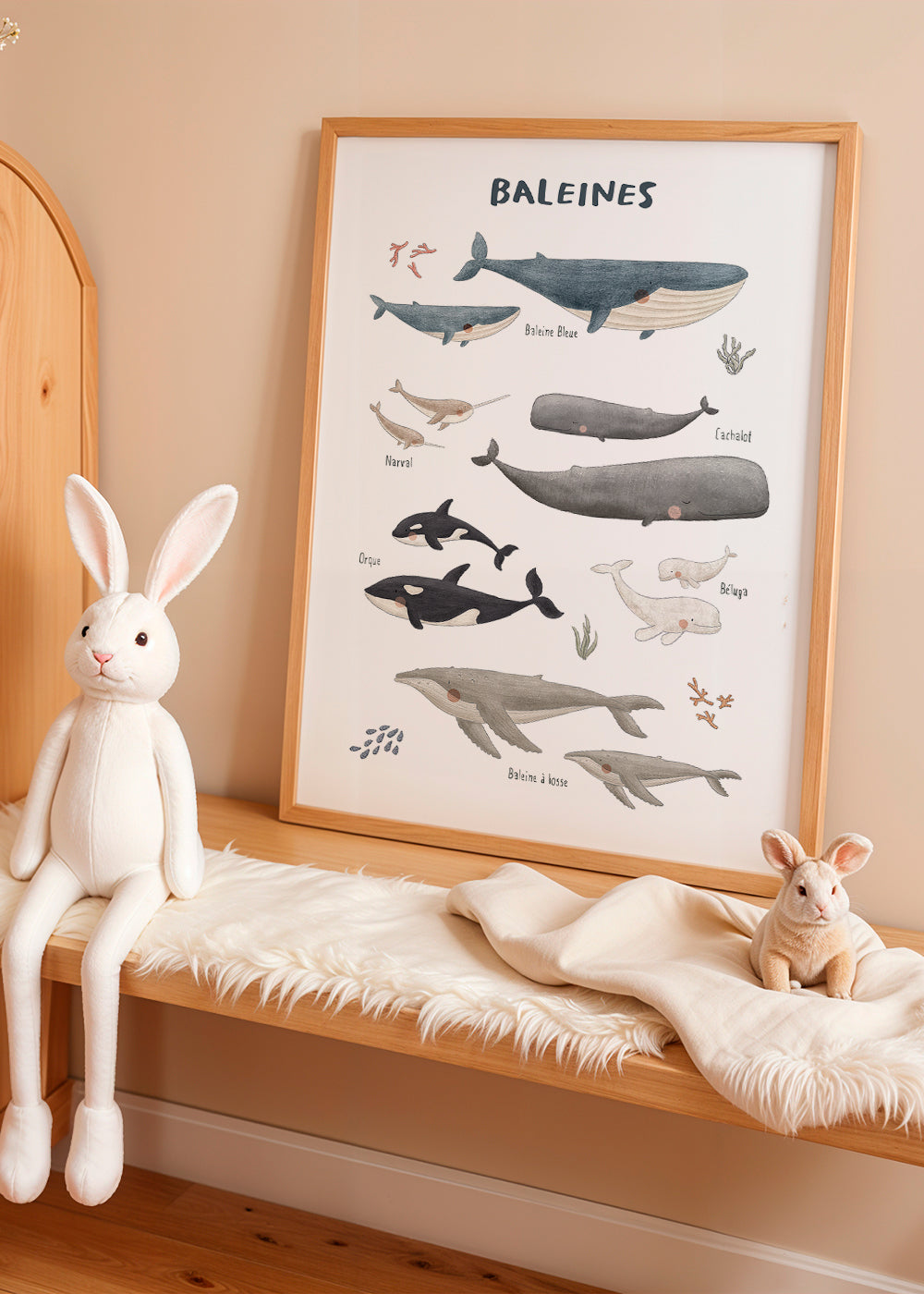 Ballenas fondo blanco (francés)
