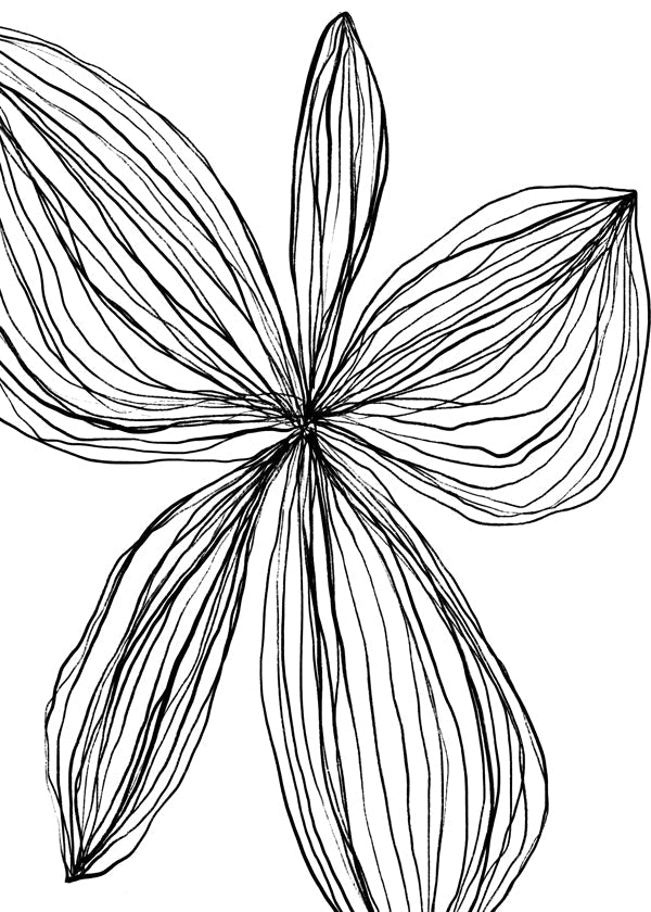 Flowerina 4