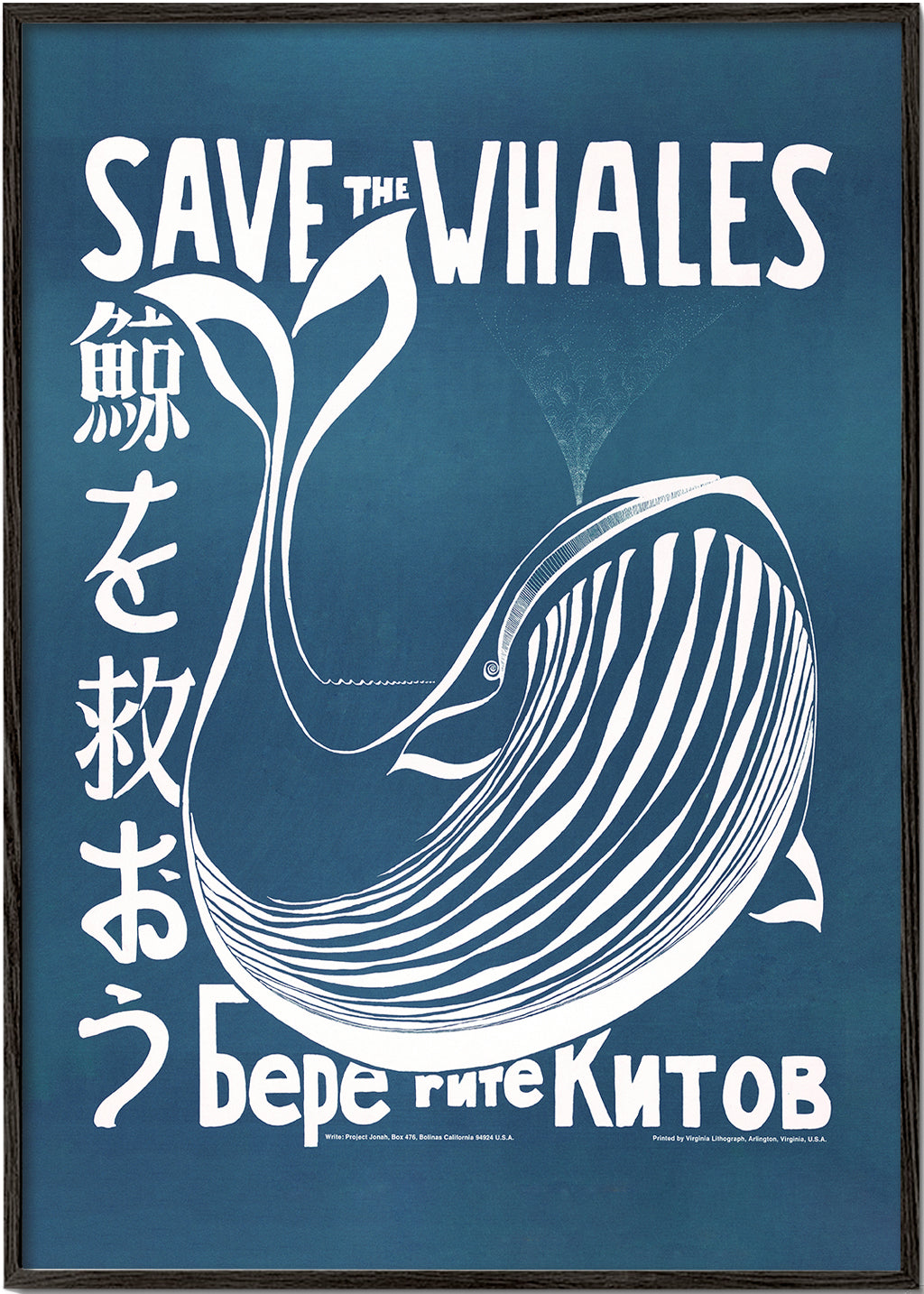 Vintage print whale illustration in blue | Wall art, framed prints