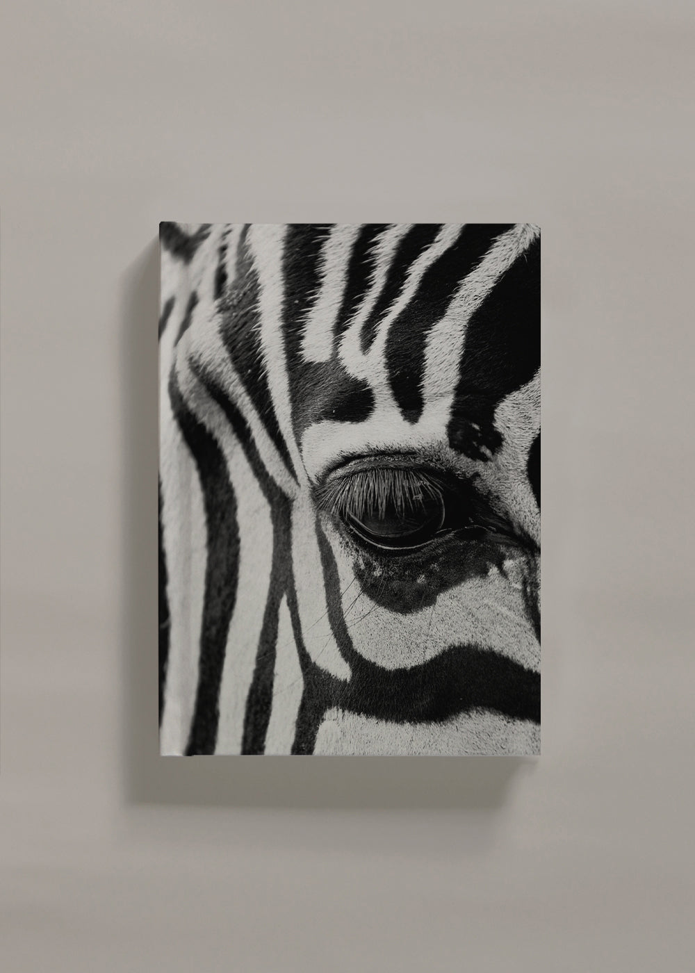 Zebra focus