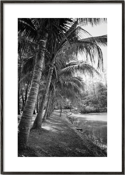 Vertical palm landscape photograph