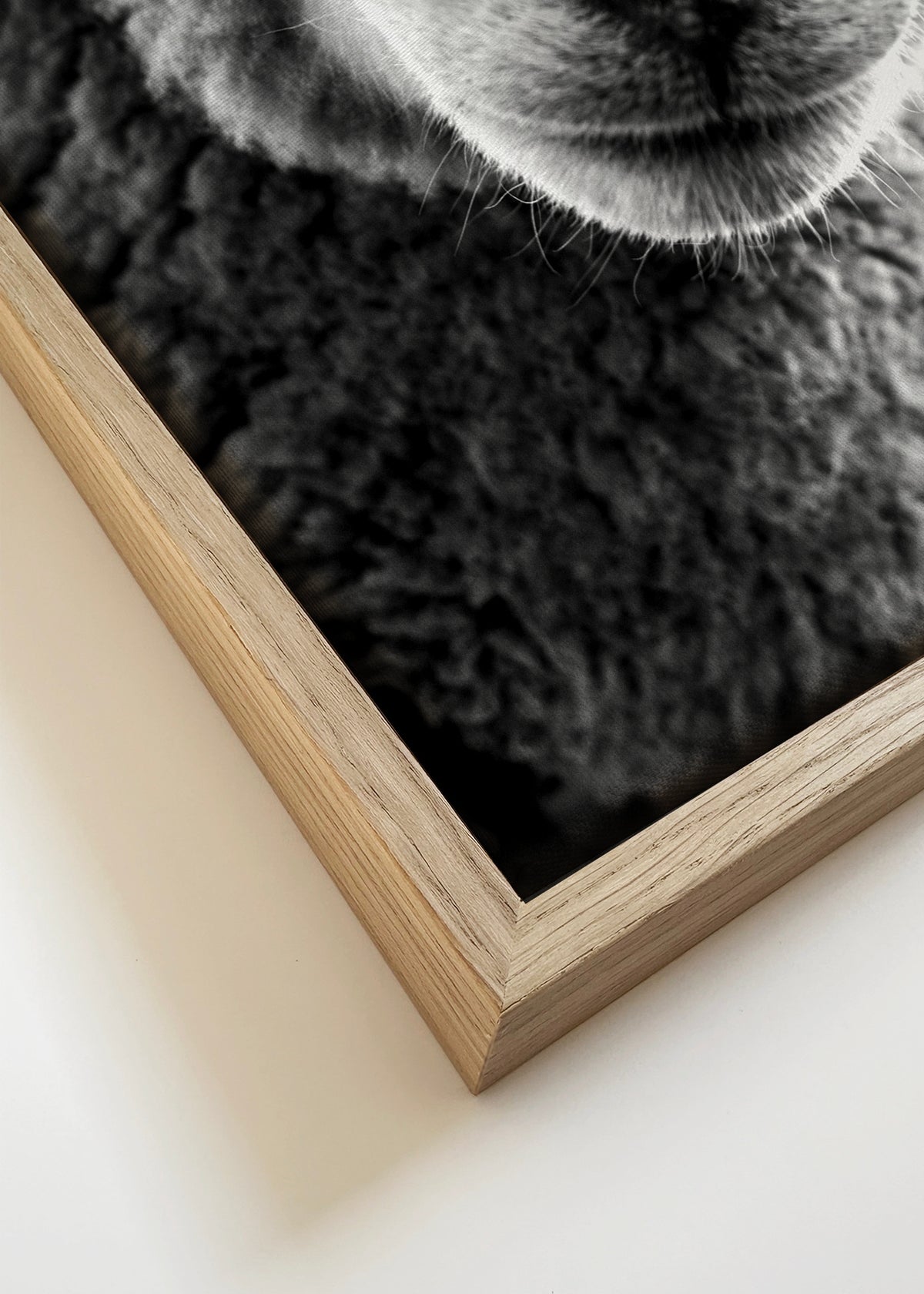 Curious sheep - Framed canvas detail
