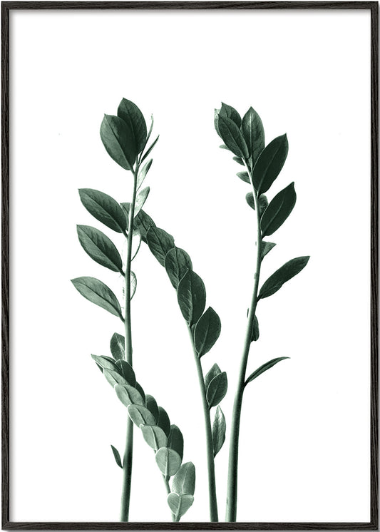 Two plants
