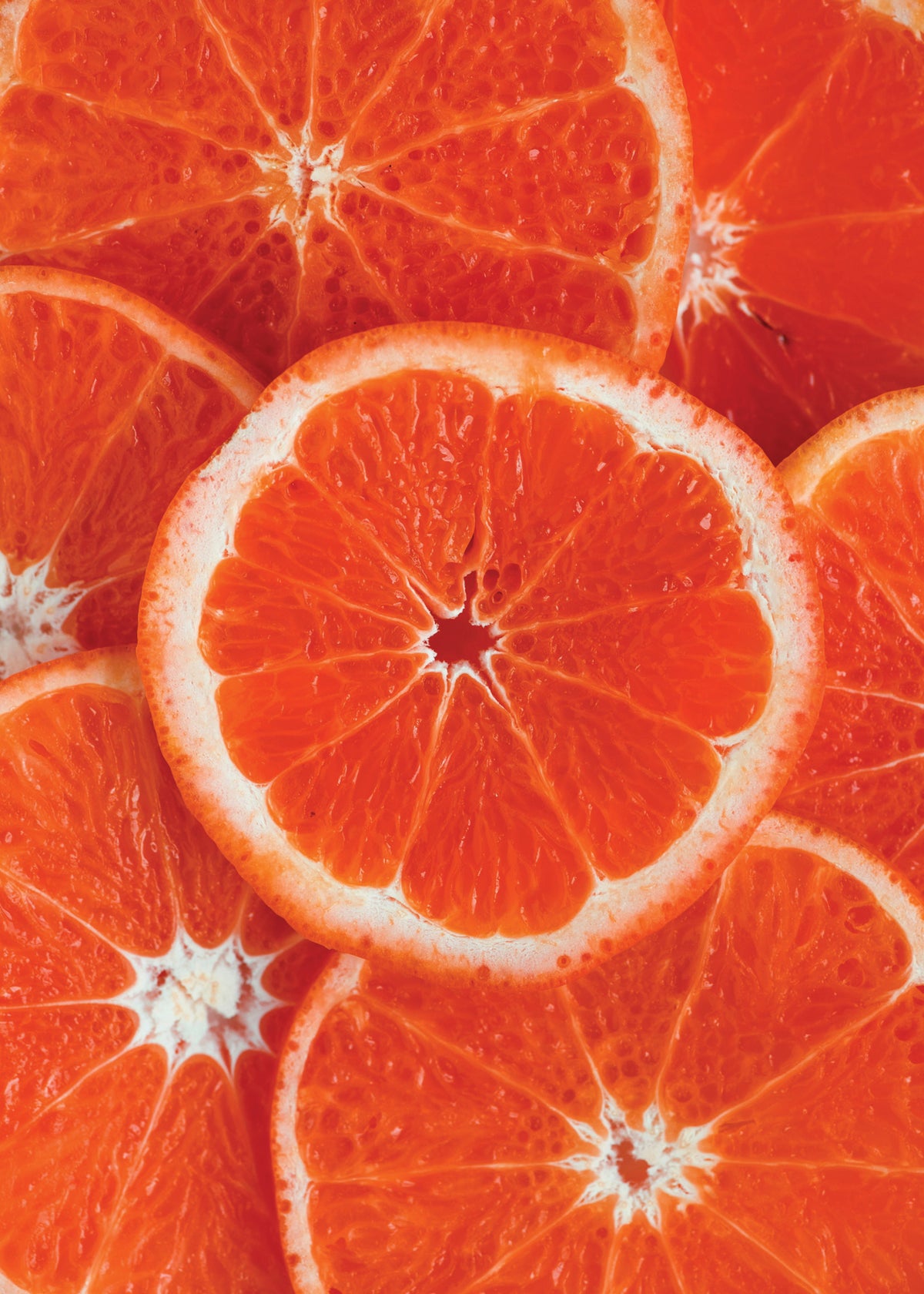 Orange lovers - Unframed art print