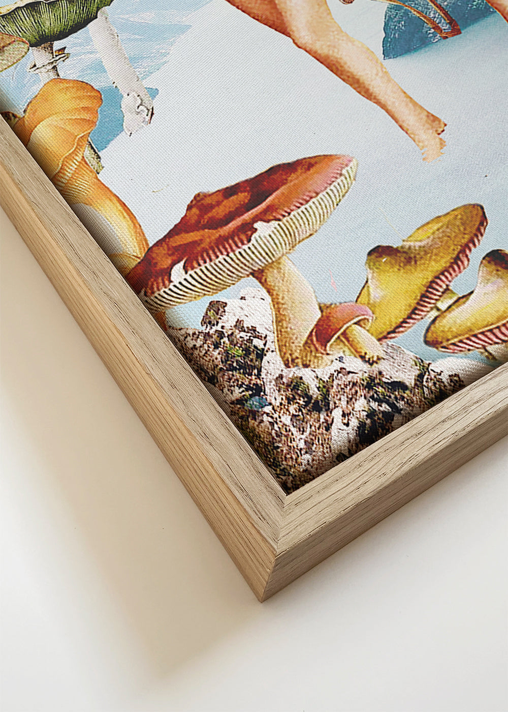 Let's pretend we're mushrooms