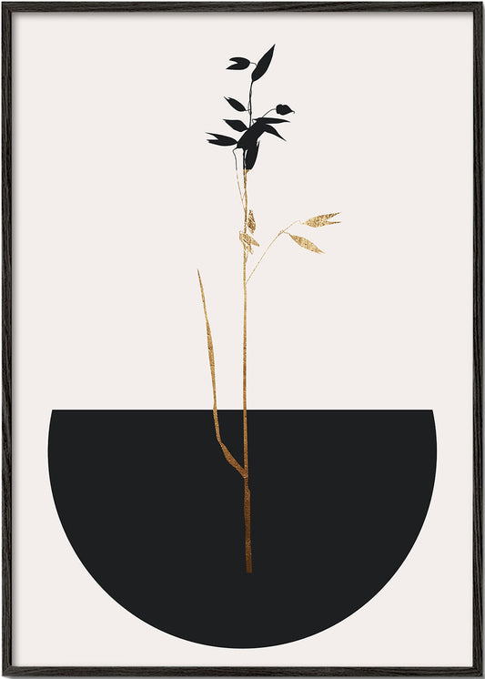 Planta negra