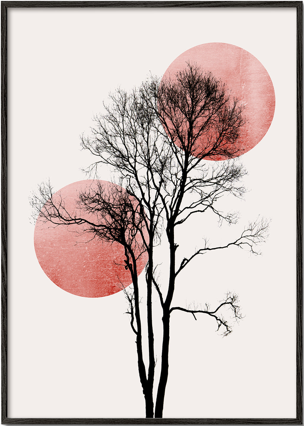 Sun and moon hiding - ros��