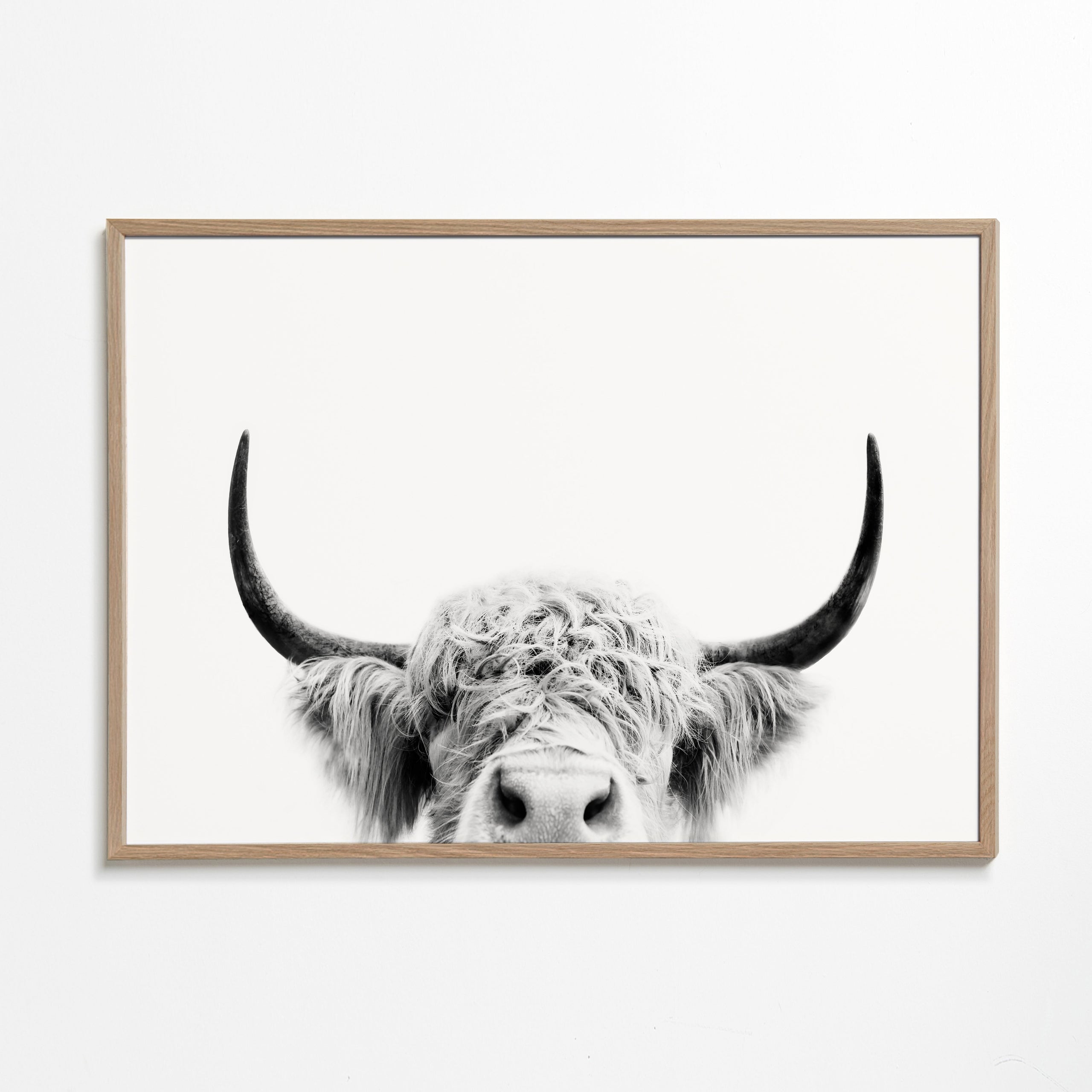 Peeking cow BW