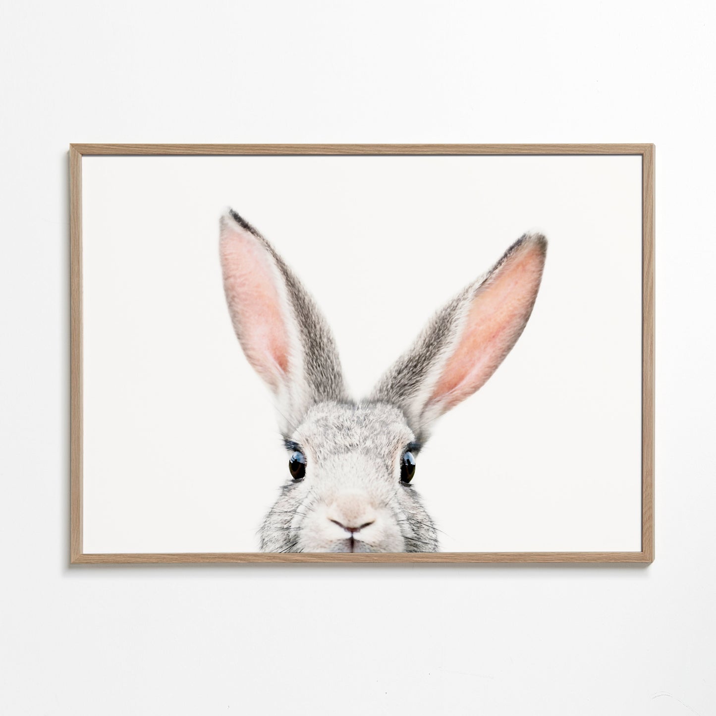 Peekaboo bunny