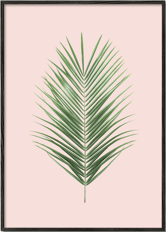 Blush tropical I