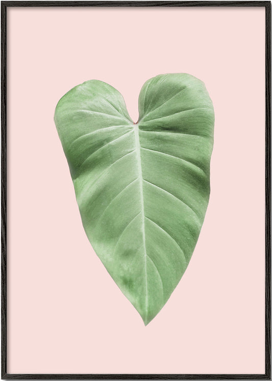 Blush tropical III
