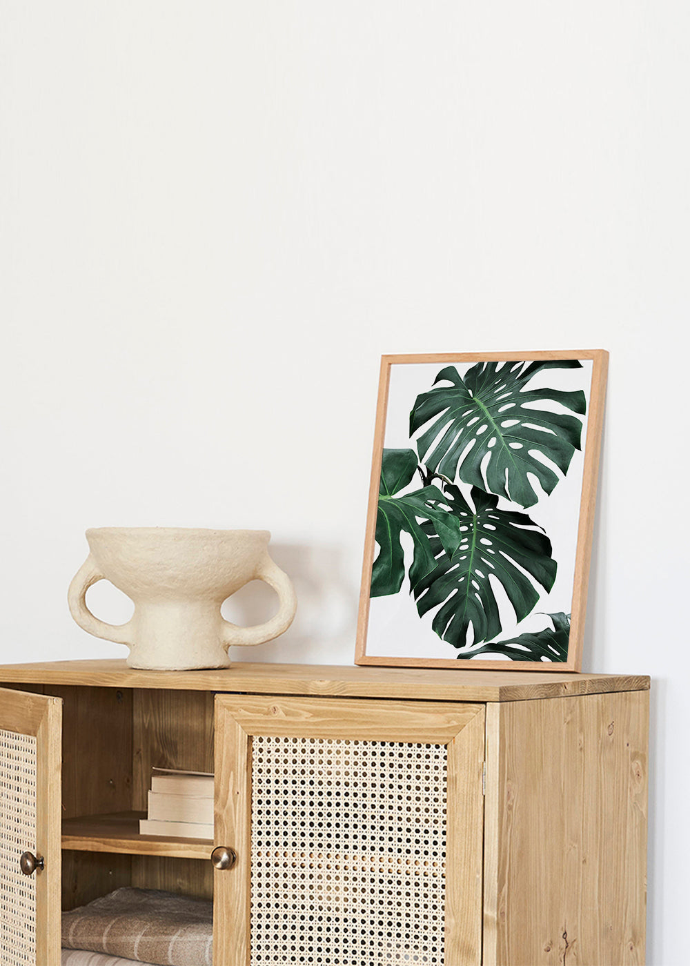 Monstera