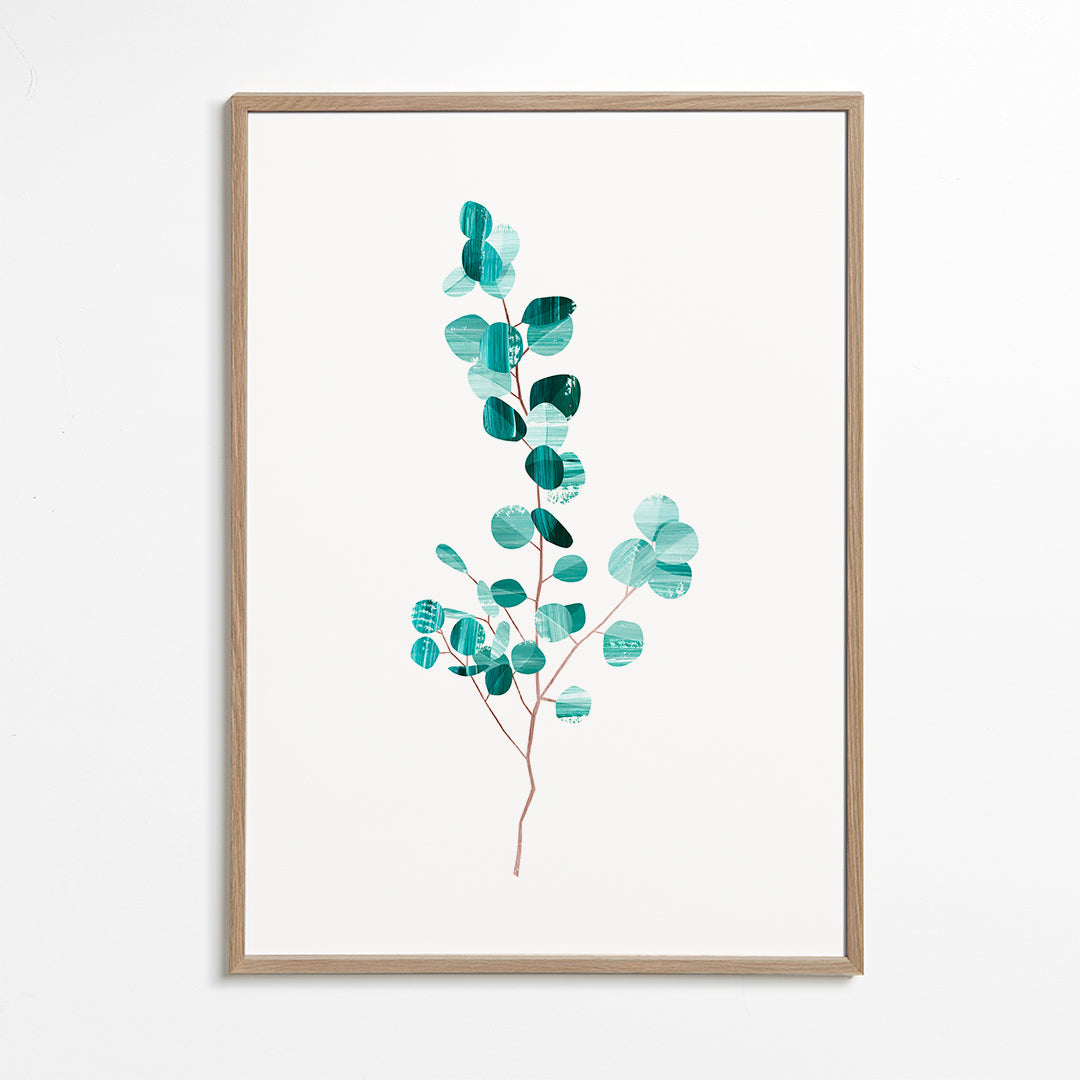 Eucalyptus
