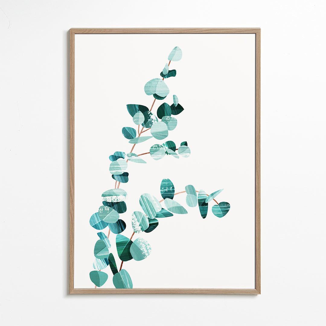 Eucalyptus II