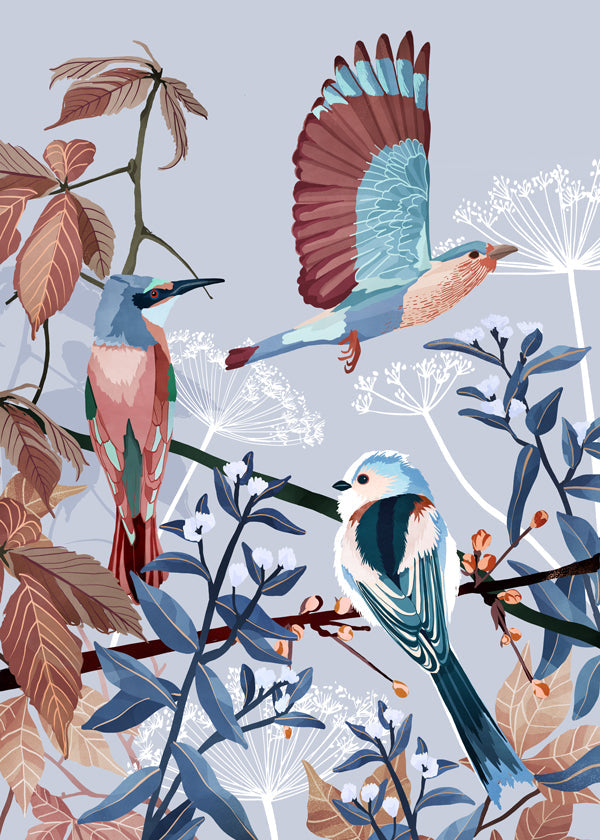 Birds of winter