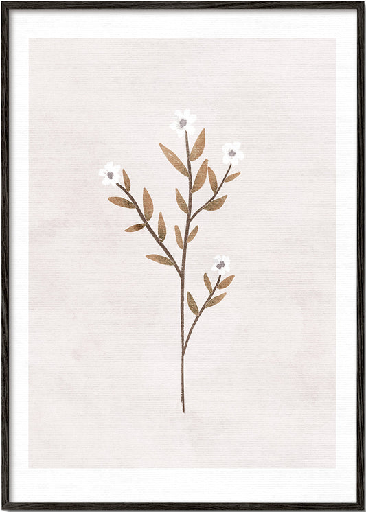 Forget Me Not