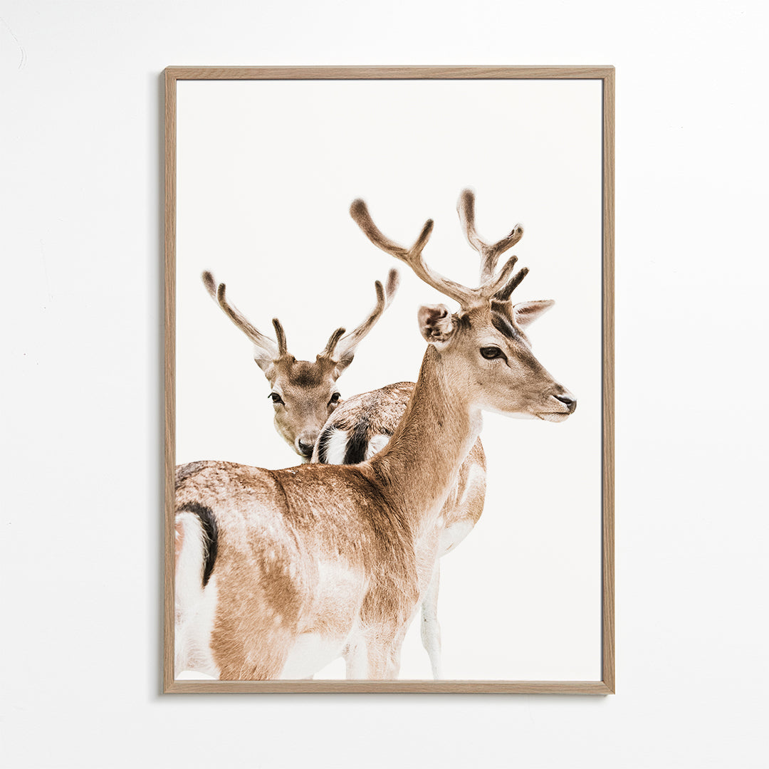 Deer II 2