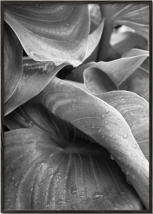 After the rain 2