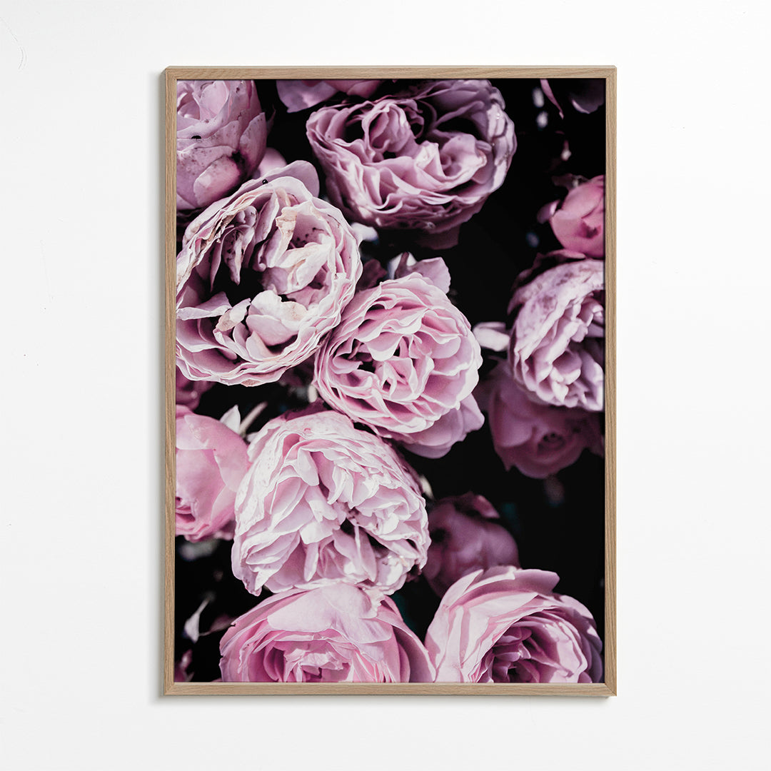 Pink Flowers III 2
