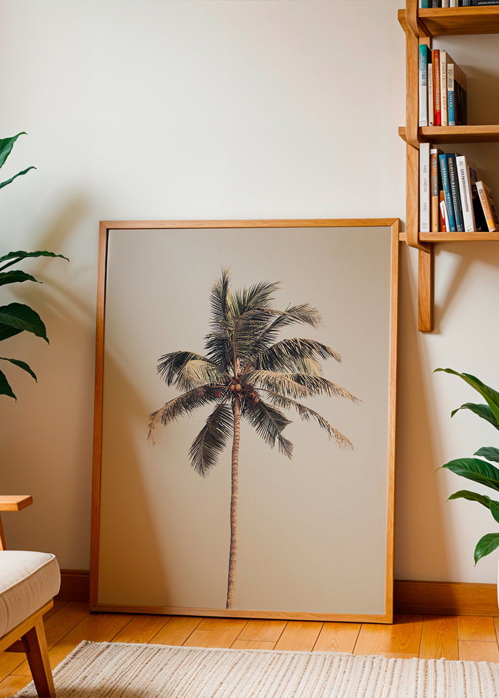 Palm tree by the beach