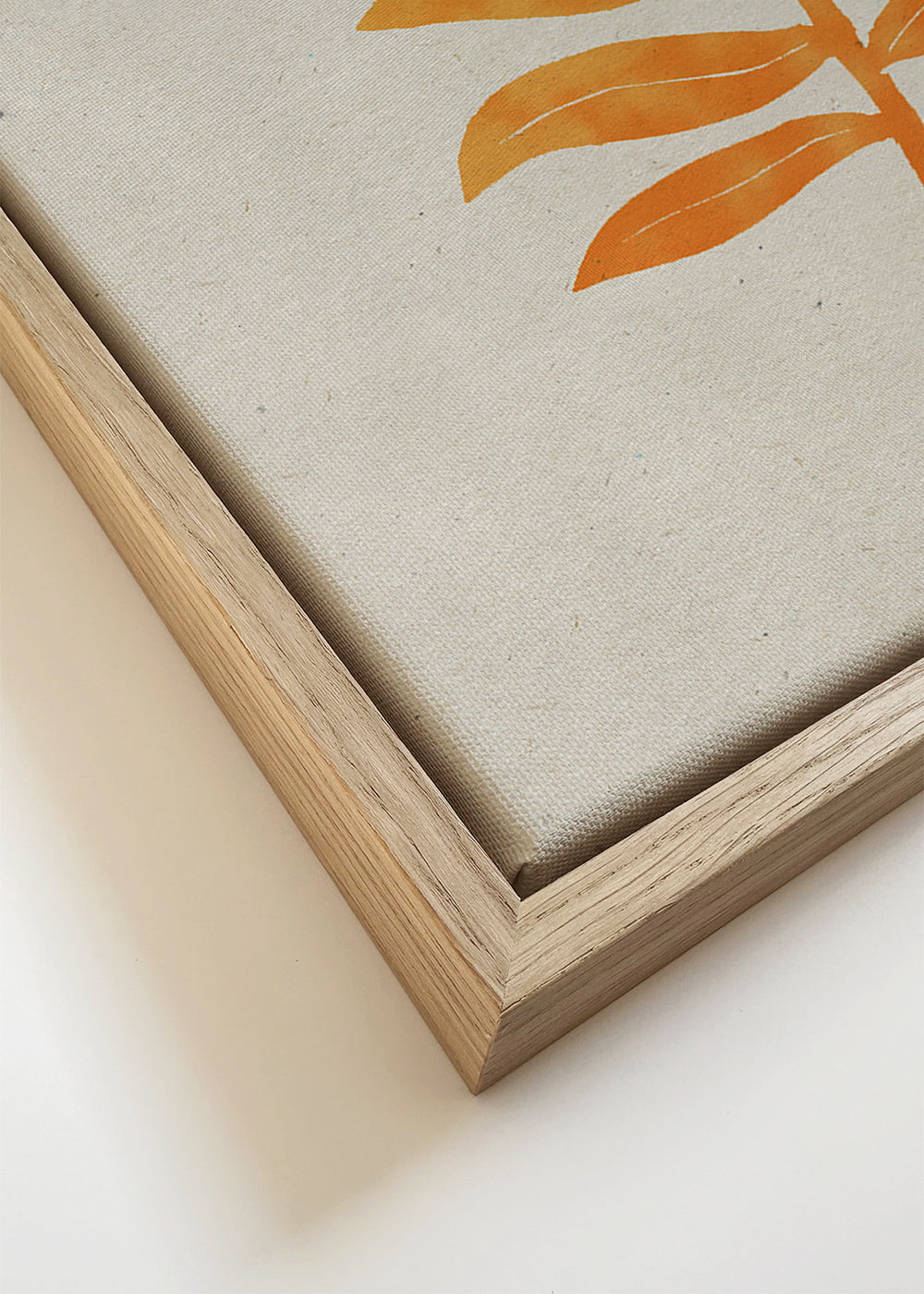 Areca Palmata Deepnight Moon