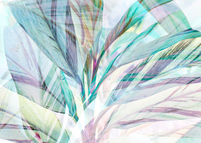 Teal and blue foliage