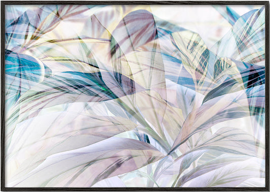 Violet and blue foliage