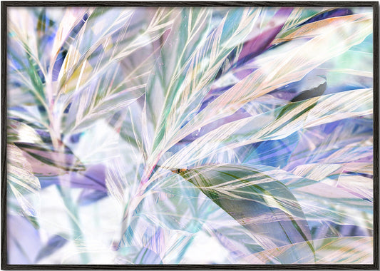 Violet foliage