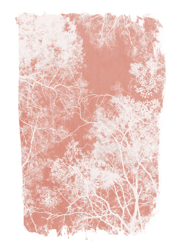 Tree foliage on coral paint