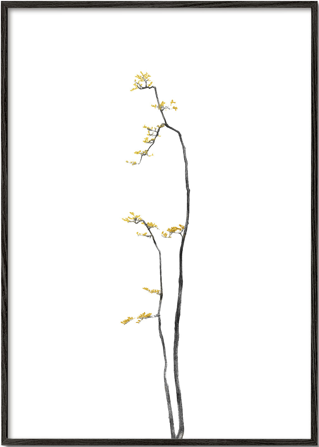 Bonsai Tree 01