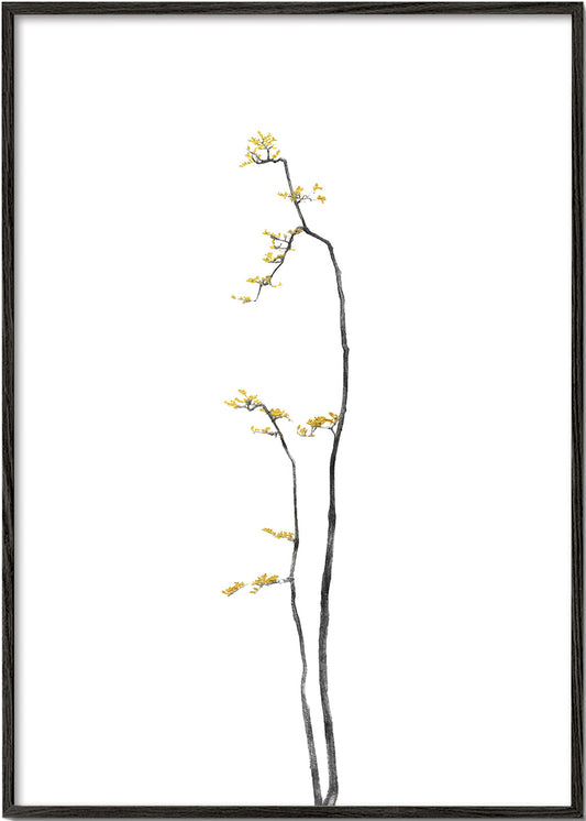 Bonsai Tree 01