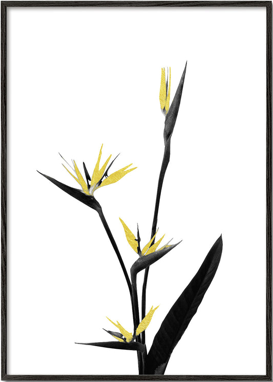 Flower Minimal Black and Gold 05
