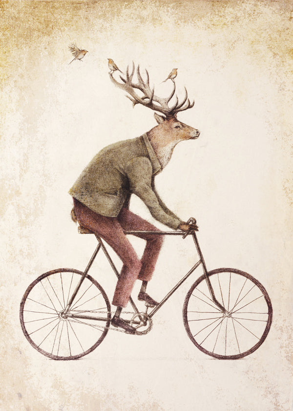 Even a Gentleman rides