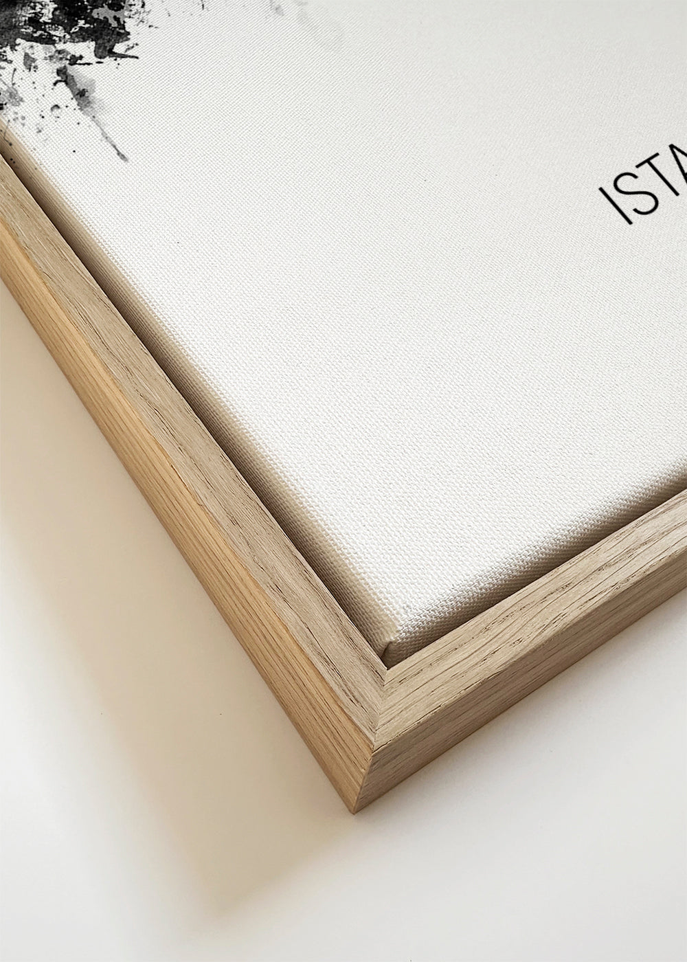 Istanbul Skyline black and white