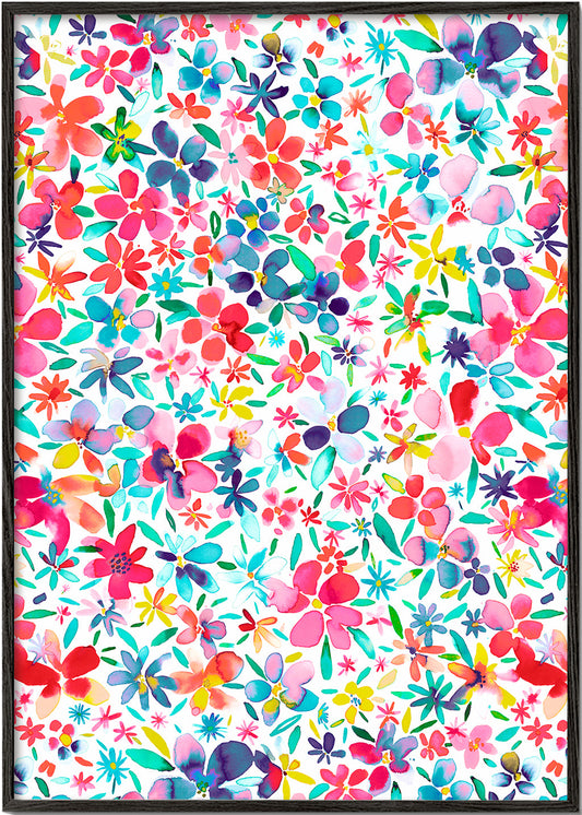 Colorful Flowers and Petals