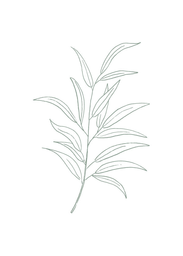 Botanicals 11