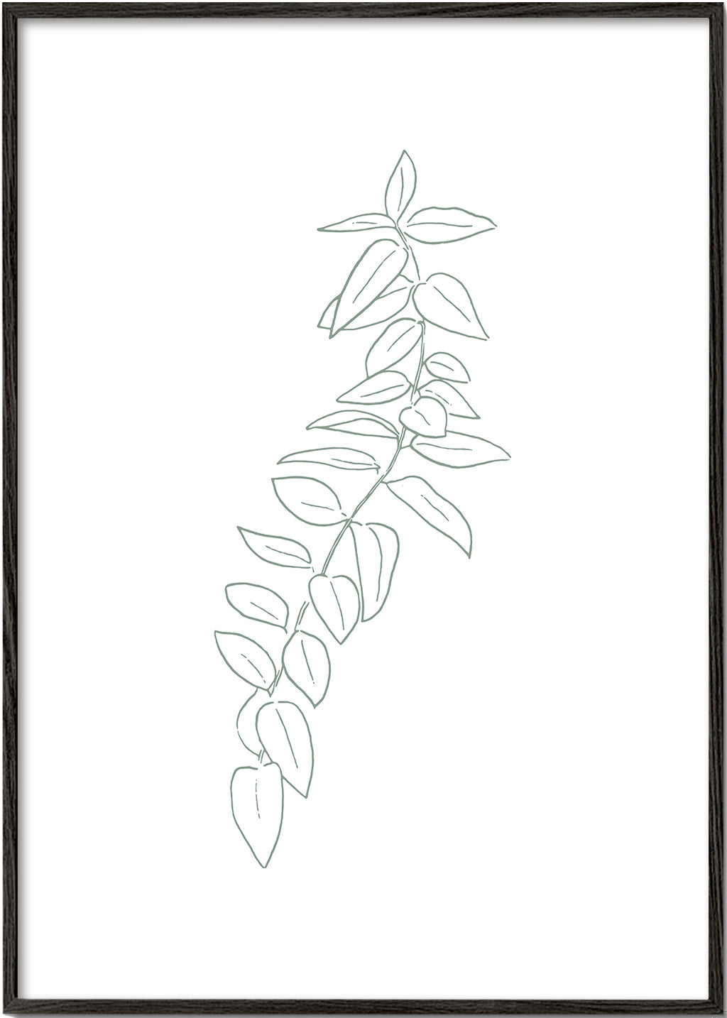 Botanicals 18