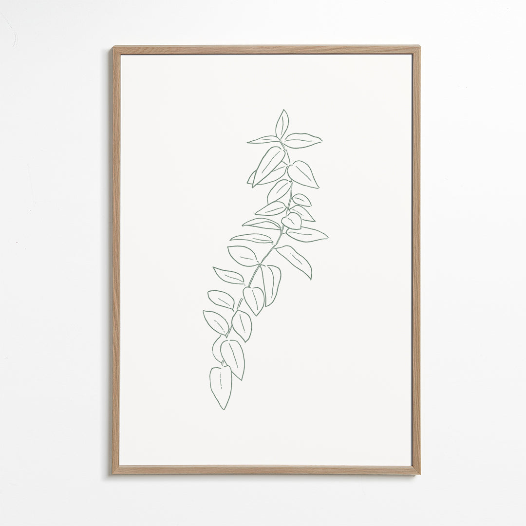 Botanicals 18